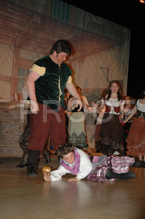 Beauty and the Beast Photo CD 106