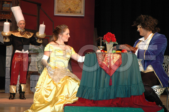 Beauty and the Beast Photo CD 168