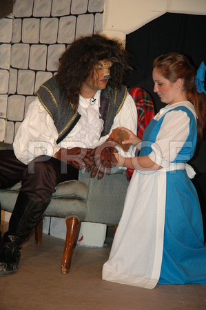 Beauty and the Beast Photo CD 223